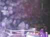 Finde2002CuerCE_099.JPG (98119 bytes)