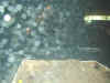 Finde2002CuerCE_104.JPG (96868 bytes)